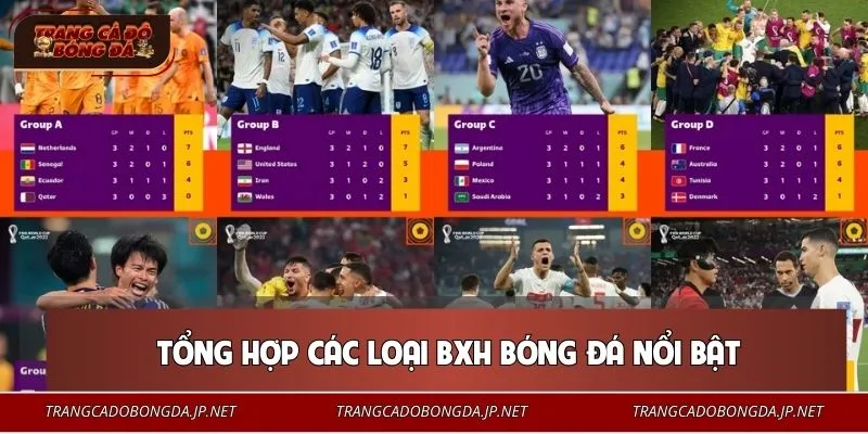 Tìm hiểu ngay các loại bảng xếp hạng