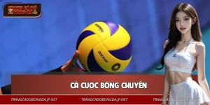 Cá Cược Bóng Chuyền - Hướng Dẫn Chi Tiết Cho Người Chơi Mới