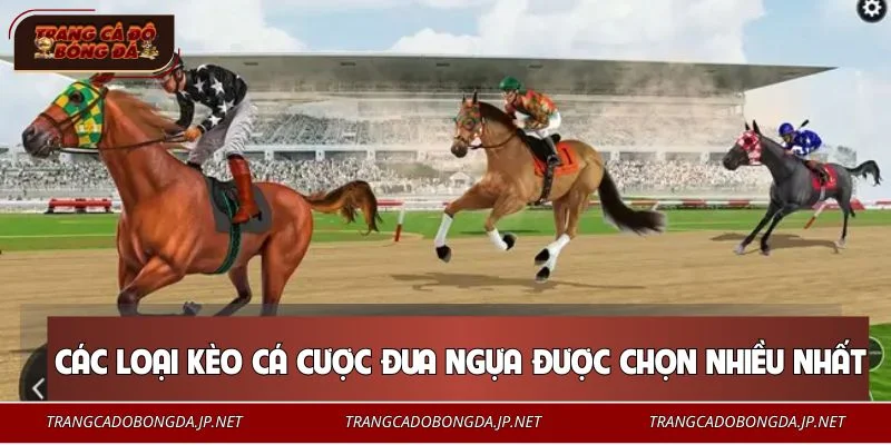 Một vài kinh nghiệm cá cược đua ngựa cực hay