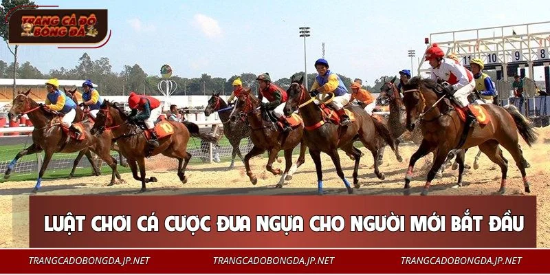 Tìm hiểu chi tiết luật chơi cá cược đua ngựa