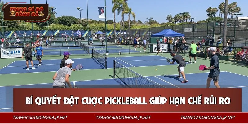 Mẹo cá cược Pickleball an toàn, giảm thiểu rủi ro