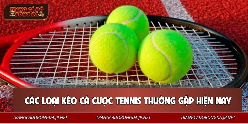 Tổng hợp các loại cược tennis được ưa chuộng