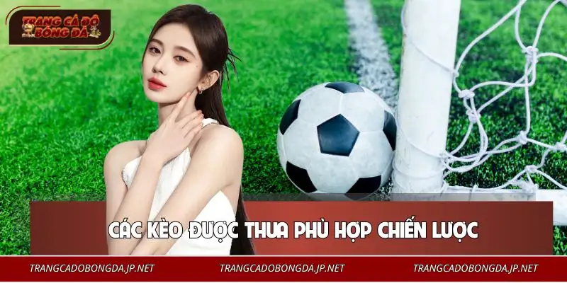 4 Cách Bắt Kèo Bóng Đá Không Thua | Giảm Rủi Ro Tối Đa Những loại thường được áp dụng khi biết cách bắt kèo bóng đá không thua