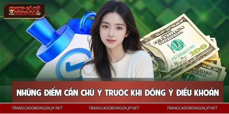 Những điểm cần chú ý trước khi đồng ý điều khoản trang