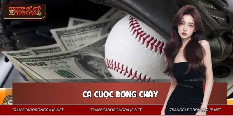 Cá Cược Bóng Chày: Số Liệu Biết Nói, Kịch Tính Tăng Cao