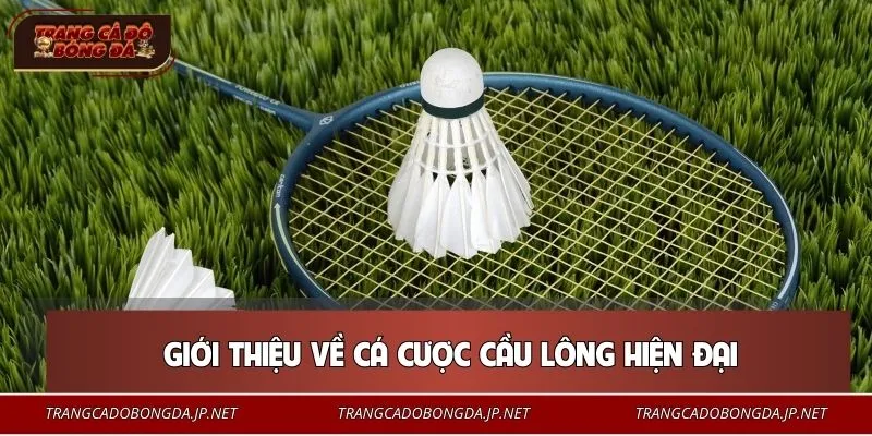 Sân chơi cầu lông cực Hot