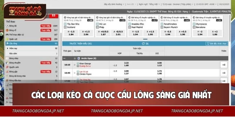 Trải nghiệm hệ thống kèo cá cược cầu lông siêu hấp dẫn