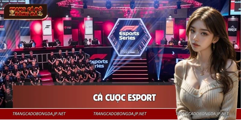 Cá Cược Esport – Lựa Chọn Giải Trí Mới Cho Người Yêu Game