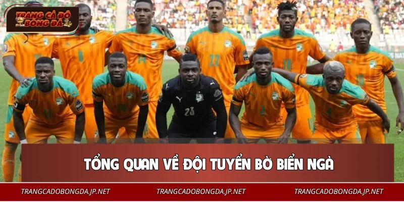 Đội tuyển Bờ Biển Ngà là nơi sản sinh nhiều ngôi sao bóng đá hàng đầu châu Phi