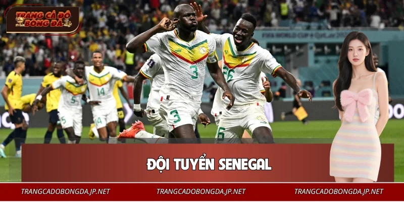 Đội Tuyển Senegal – Biểu Tượng Sức Mạnh Bóng Đá Châu Phi