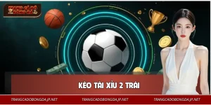 Kèo Tài Xỉu 2 Trái Là Gì? Mẹo Để Cá Độ Bóng Đá Bất Bại